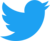 twitter Logo